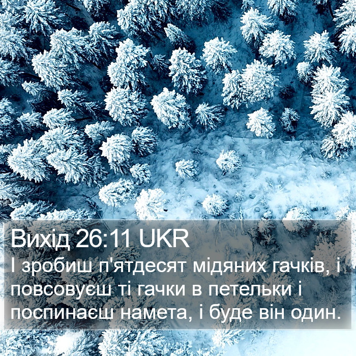 Вихід 26:11 UKR Bible Study