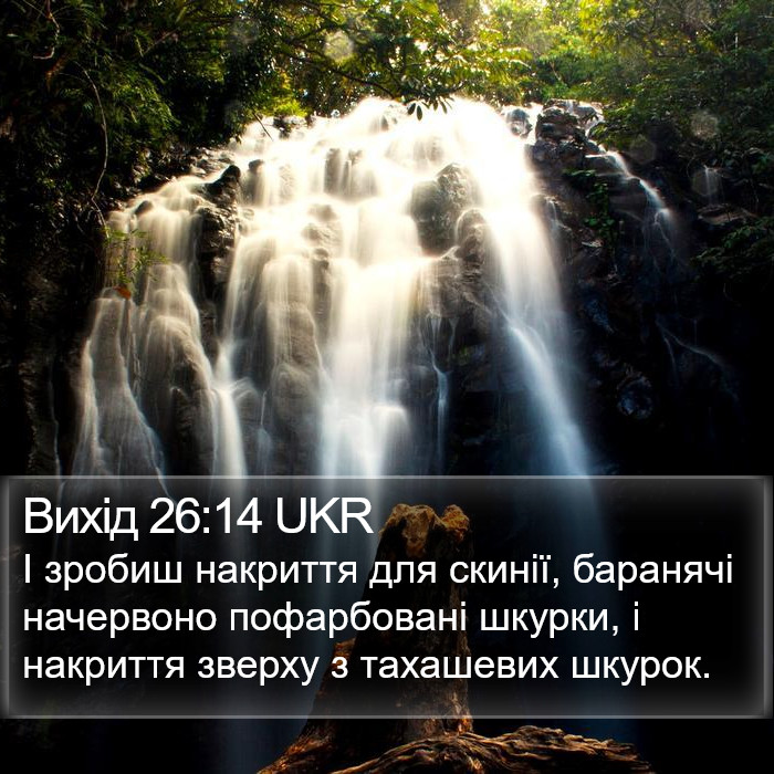 Вихід 26:14 UKR Bible Study