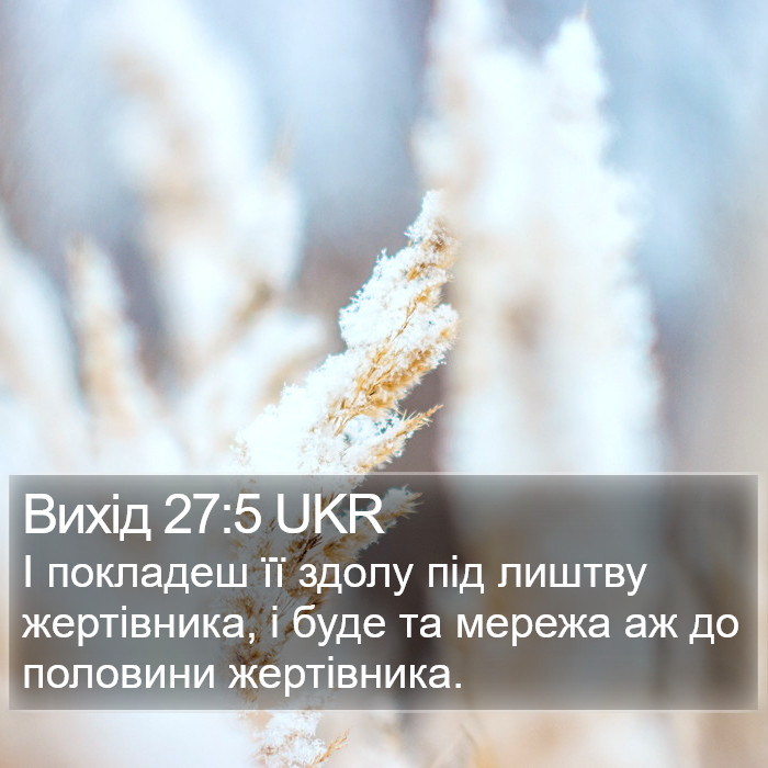 Вихід 27:5 UKR Bible Study