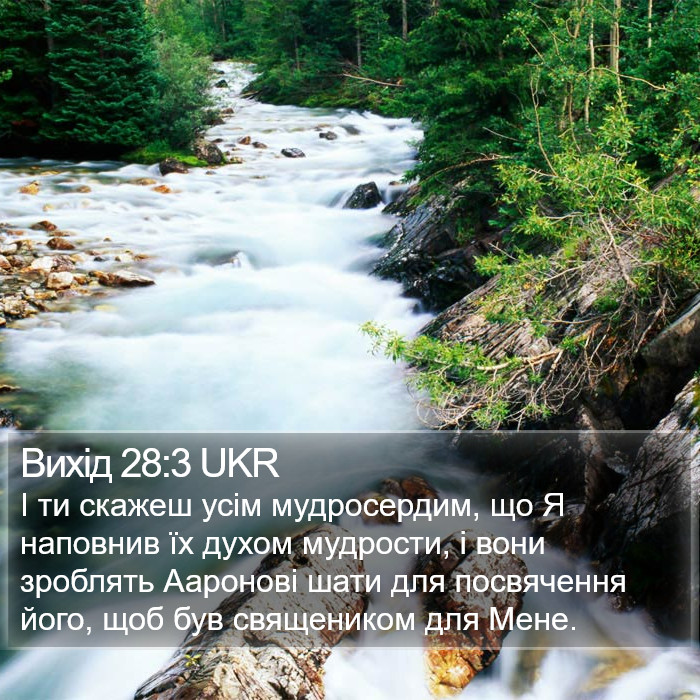 Вихід 28:3 UKR Bible Study