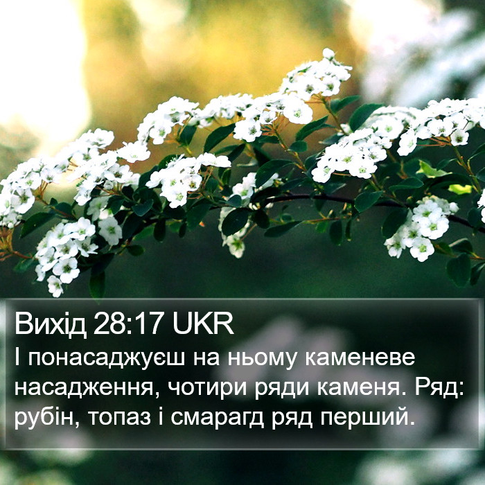 Вихід 28:17 UKR Bible Study