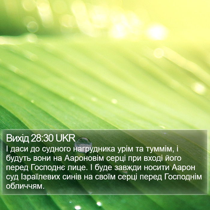 Вихід 28:30 UKR Bible Study