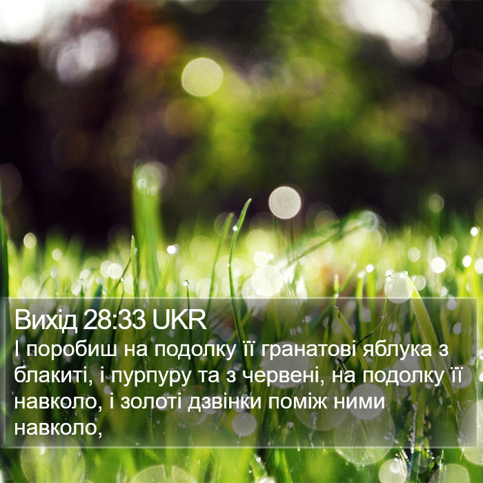 Вихід 28:33 UKR Bible Study