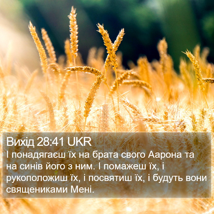 Вихід 28:41 UKR Bible Study