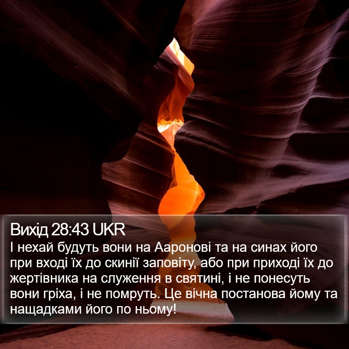 Вихід 28:43 UKR Bible Study