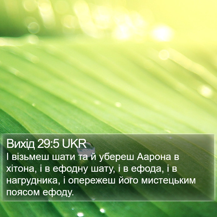 Вихід 29:5 UKR Bible Study