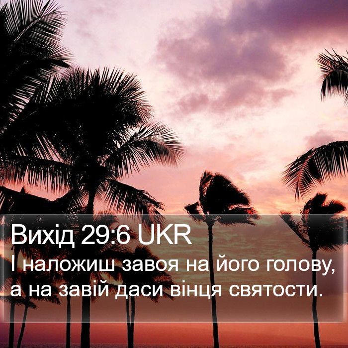 Вихід 29:6 UKR Bible Study