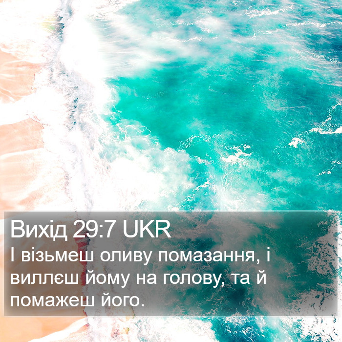 Вихід 29:7 UKR Bible Study