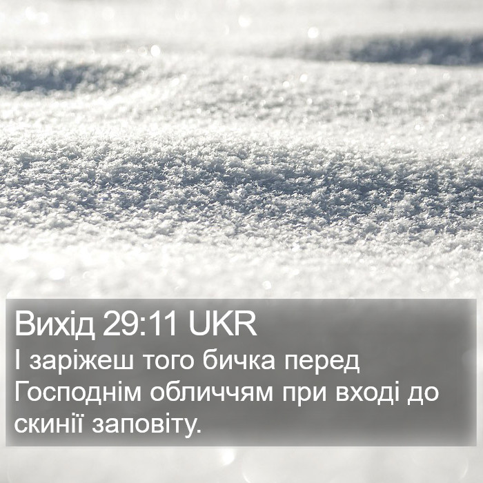 Вихід 29:11 UKR Bible Study