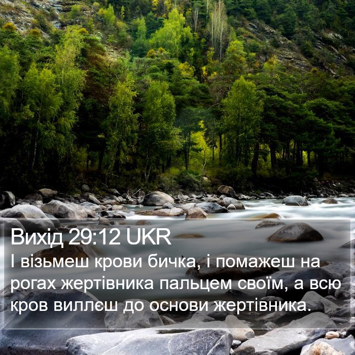 Вихід 29:12 UKR Bible Study