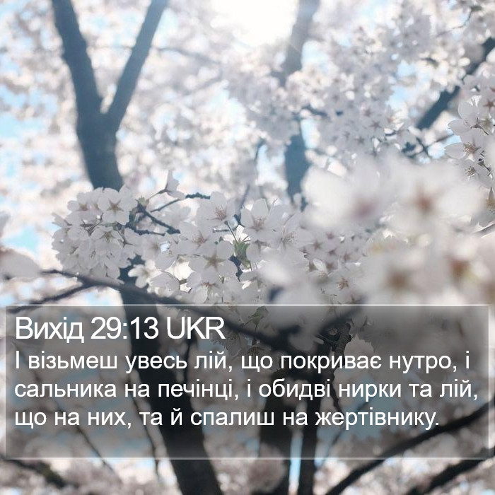 Вихід 29:13 UKR Bible Study