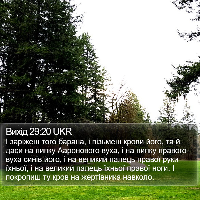 Вихід 29:20 UKR Bible Study