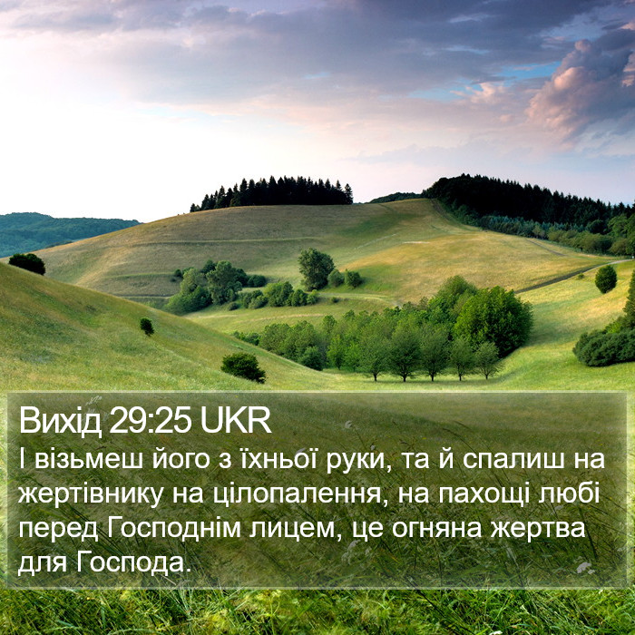 Вихід 29:25 UKR Bible Study