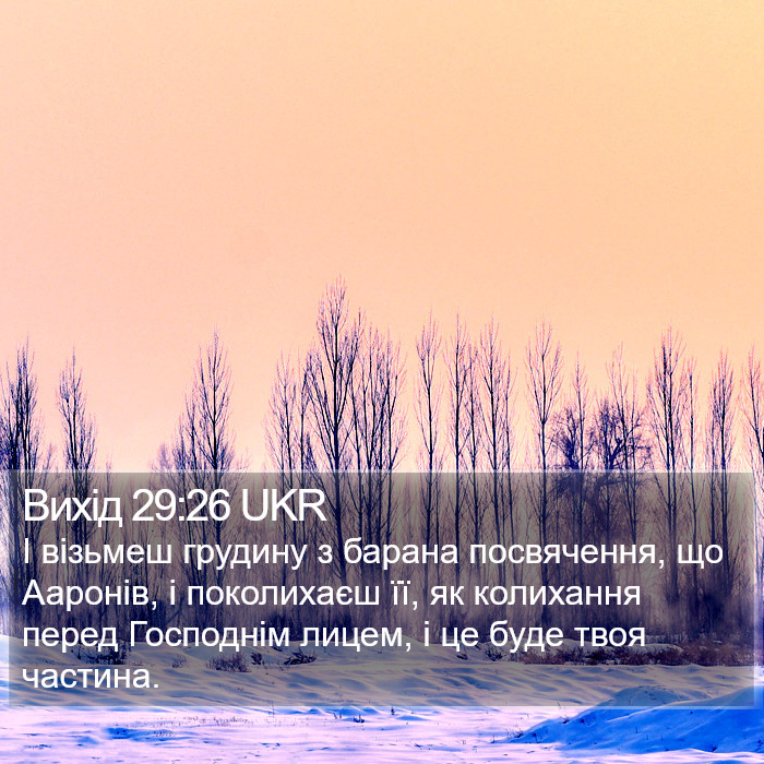 Вихід 29:26 UKR Bible Study