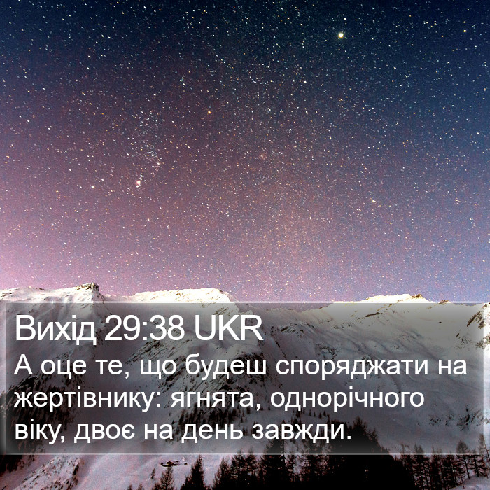 Вихід 29:38 UKR Bible Study