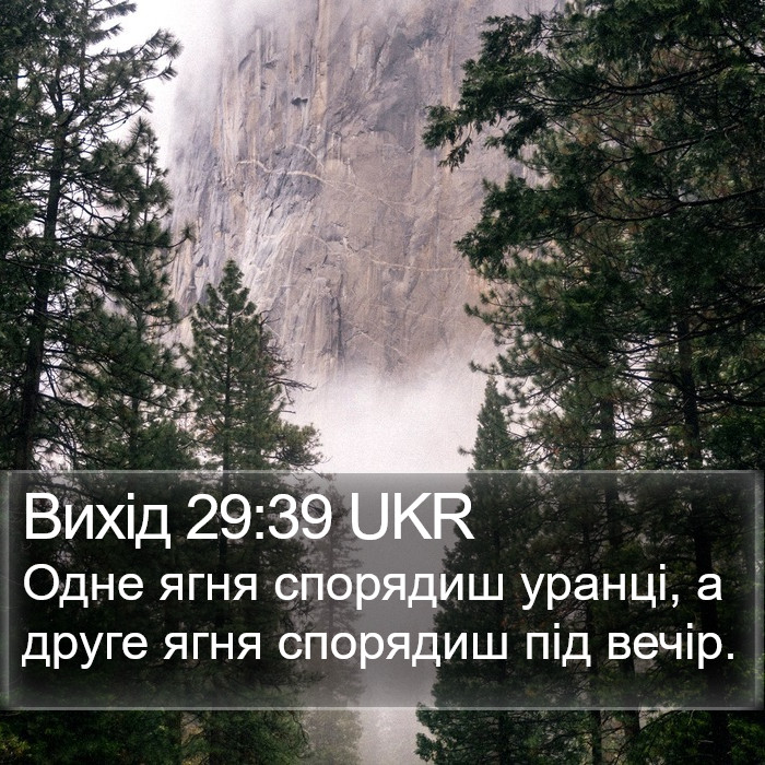 Вихід 29:39 UKR Bible Study