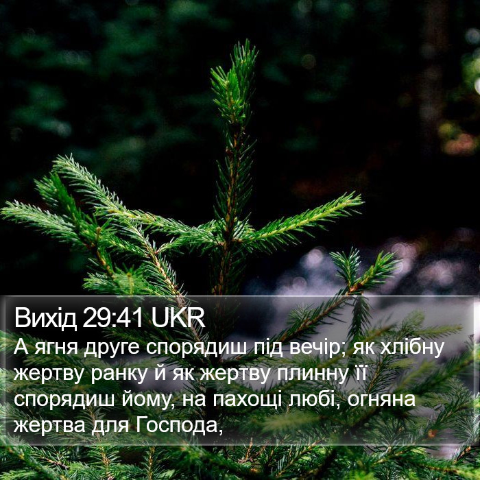 Вихід 29:41 UKR Bible Study