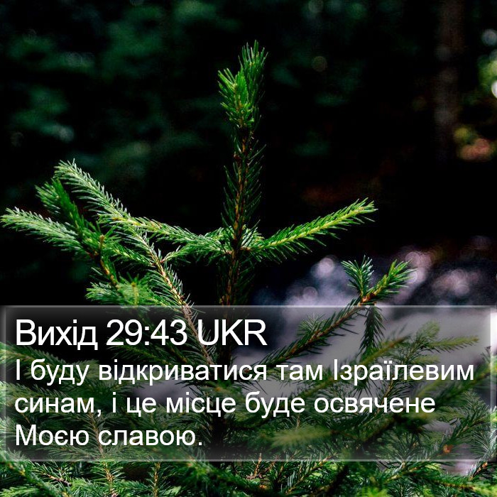 Вихід 29:43 UKR Bible Study