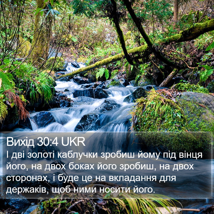 Вихід 30:4 UKR Bible Study