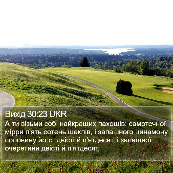 Вихід 30:23 UKR Bible Study