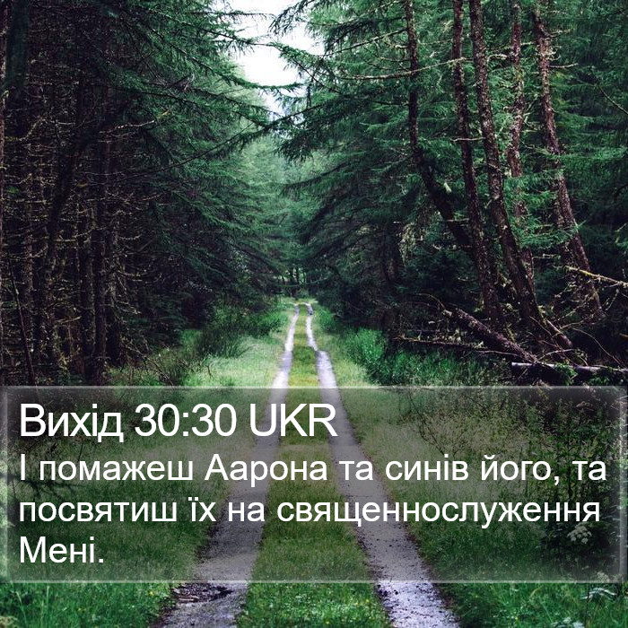 Вихід 30:30 UKR Bible Study