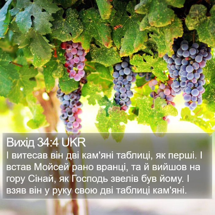 Вихід 34:4 UKR Bible Study