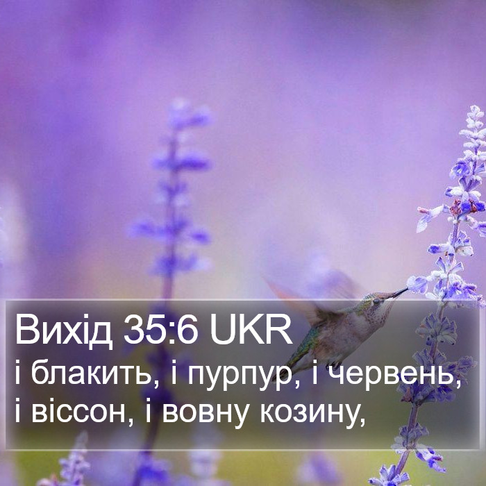 Вихід 35:6 UKR Bible Study