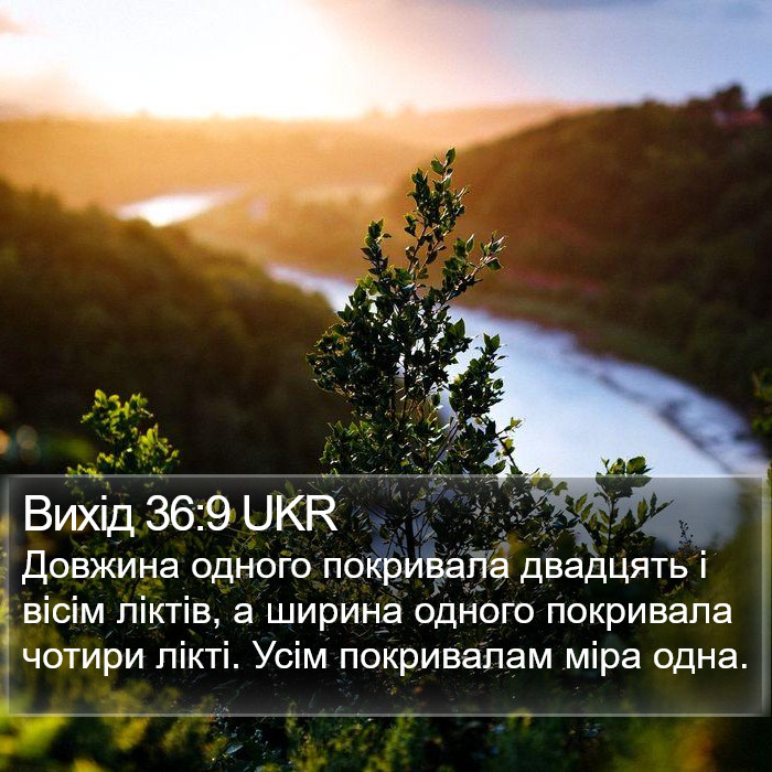 Вихід 36:9 UKR Bible Study