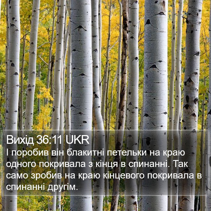 Вихід 36:11 UKR Bible Study