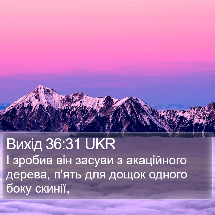 Вихід 36:31 UKR Bible Study