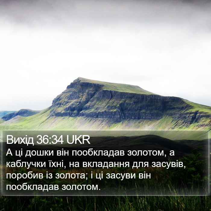 Вихід 36:34 UKR Bible Study