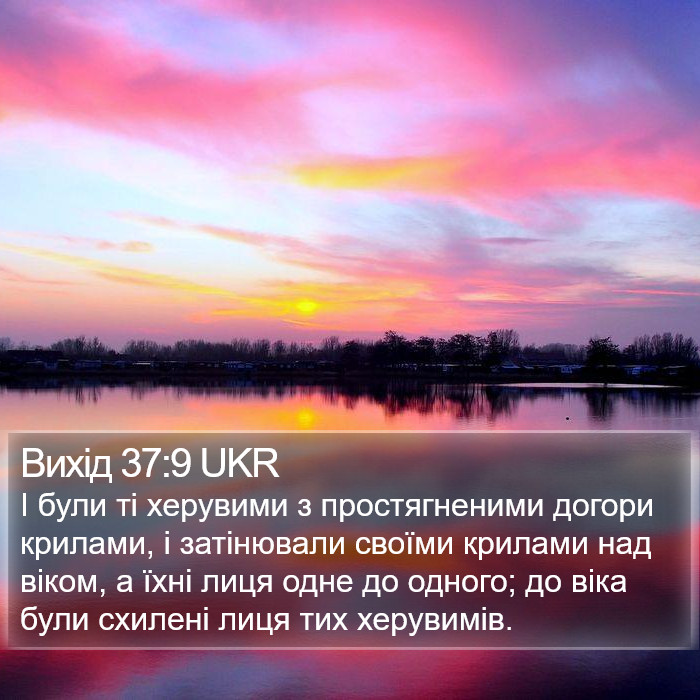 Вихід 37:9 UKR Bible Study