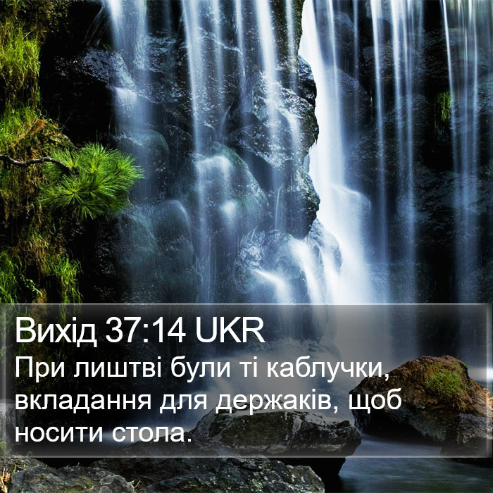 Вихід 37:14 UKR Bible Study