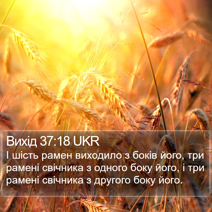 Вихід 37:18 UKR Bible Study