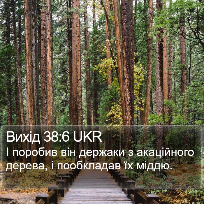 Вихід 38:6 UKR Bible Study