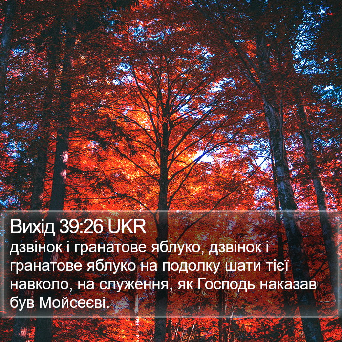 Вихід 39:26 UKR Bible Study