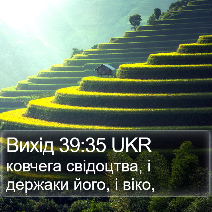 Вихід 39:35 UKR Bible Study
