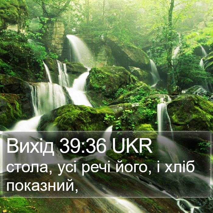 Вихід 39:36 UKR Bible Study