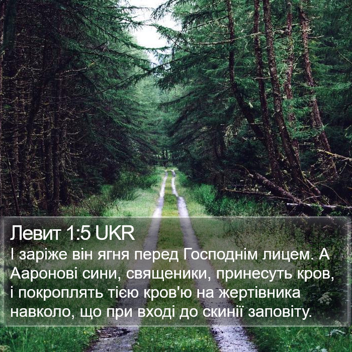 Левит 1:5 UKR Bible Study