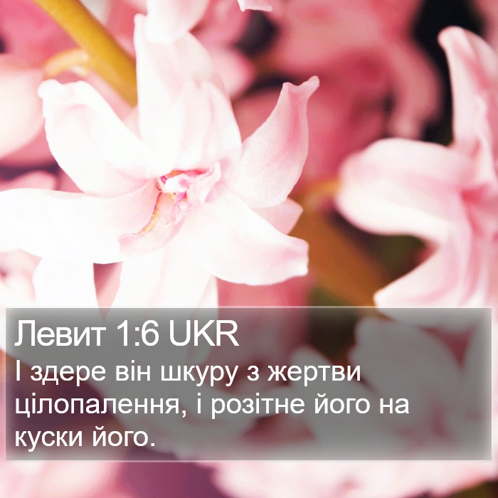 Левит 1:6 UKR Bible Study