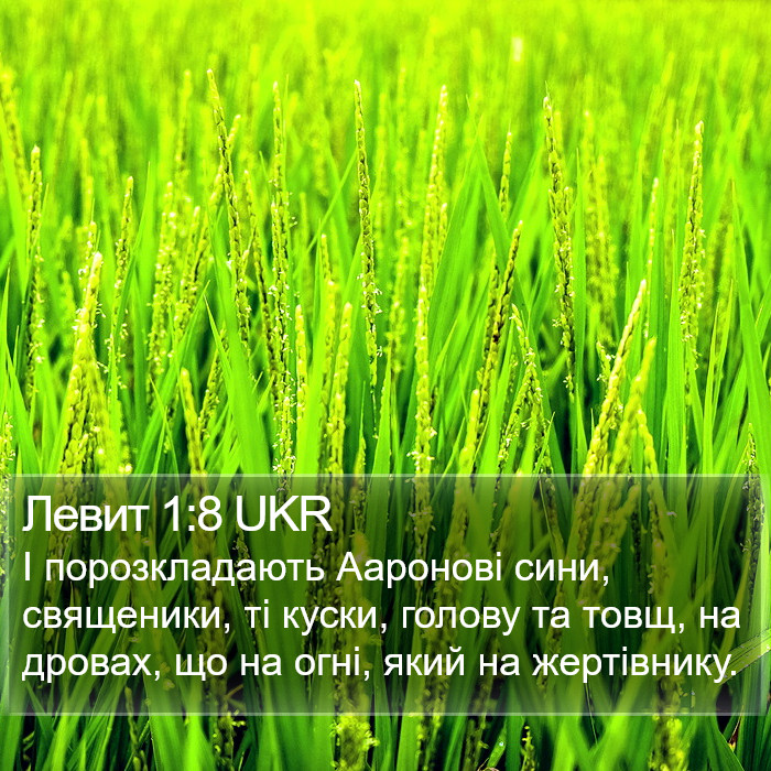 Левит 1:8 UKR Bible Study