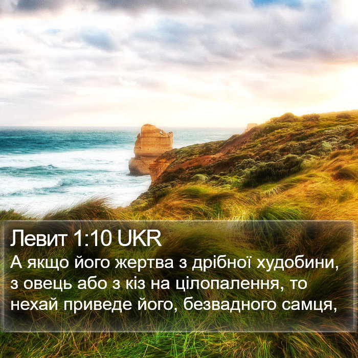 Левит 1:10 UKR Bible Study