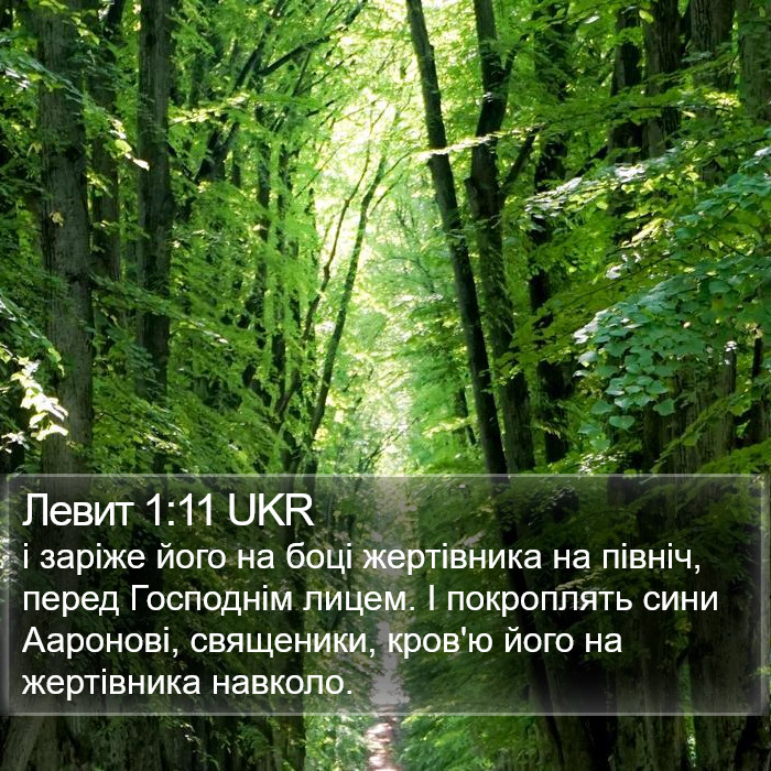 Левит 1:11 UKR Bible Study