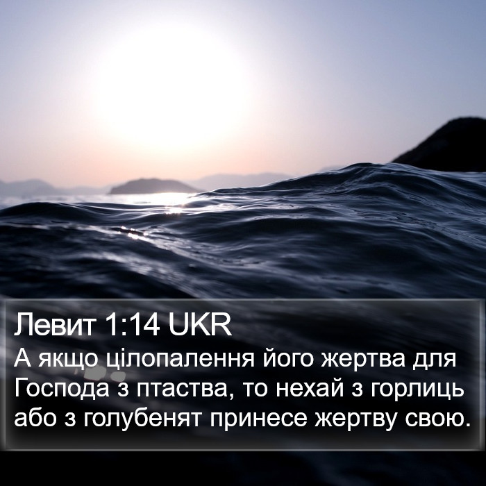 Левит 1:14 UKR Bible Study