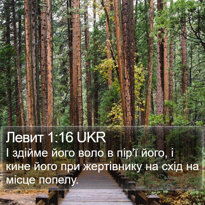 Левит 1:16 UKR Bible Study