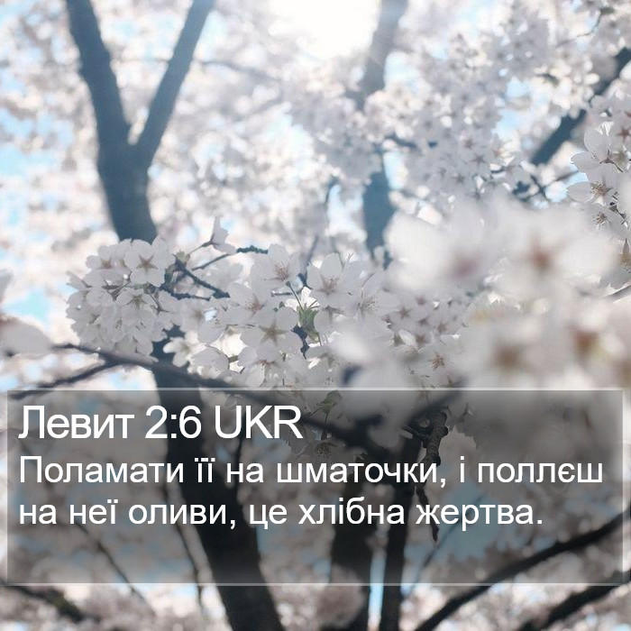 Левит 2:6 UKR Bible Study