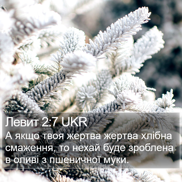 Левит 2:7 UKR Bible Study