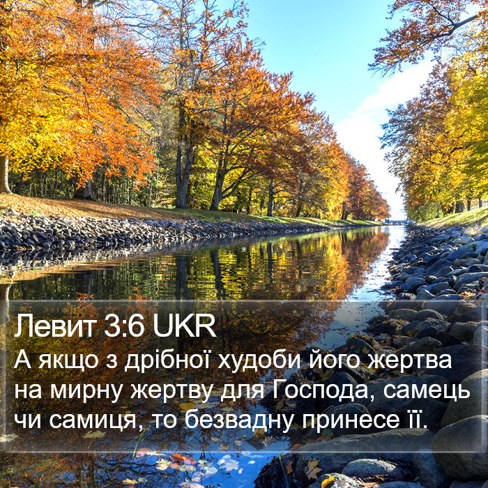 Левит 3:6 UKR Bible Study