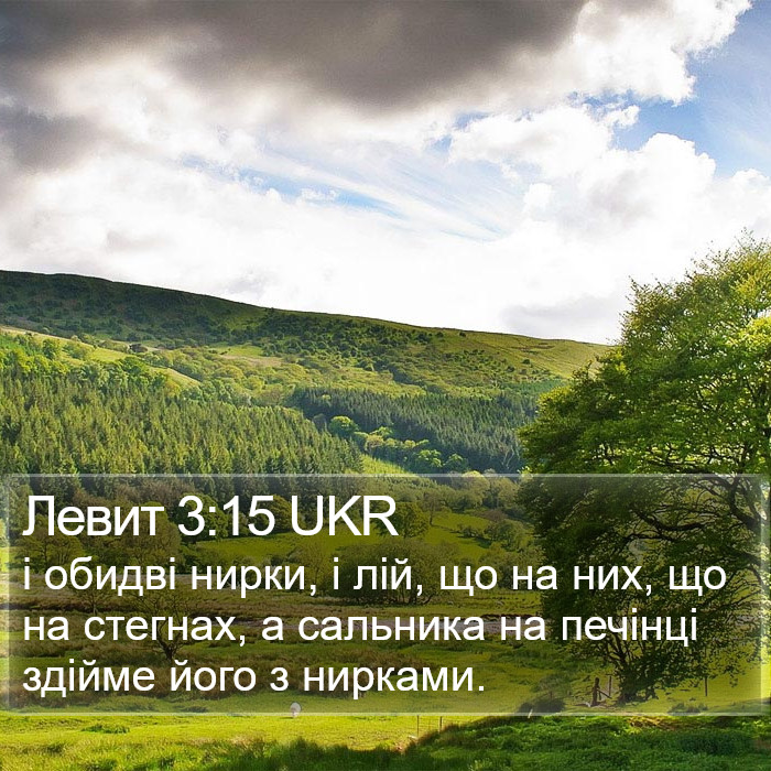 Левит 3:15 UKR Bible Study