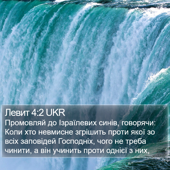 Левит 4:2 UKR Bible Study